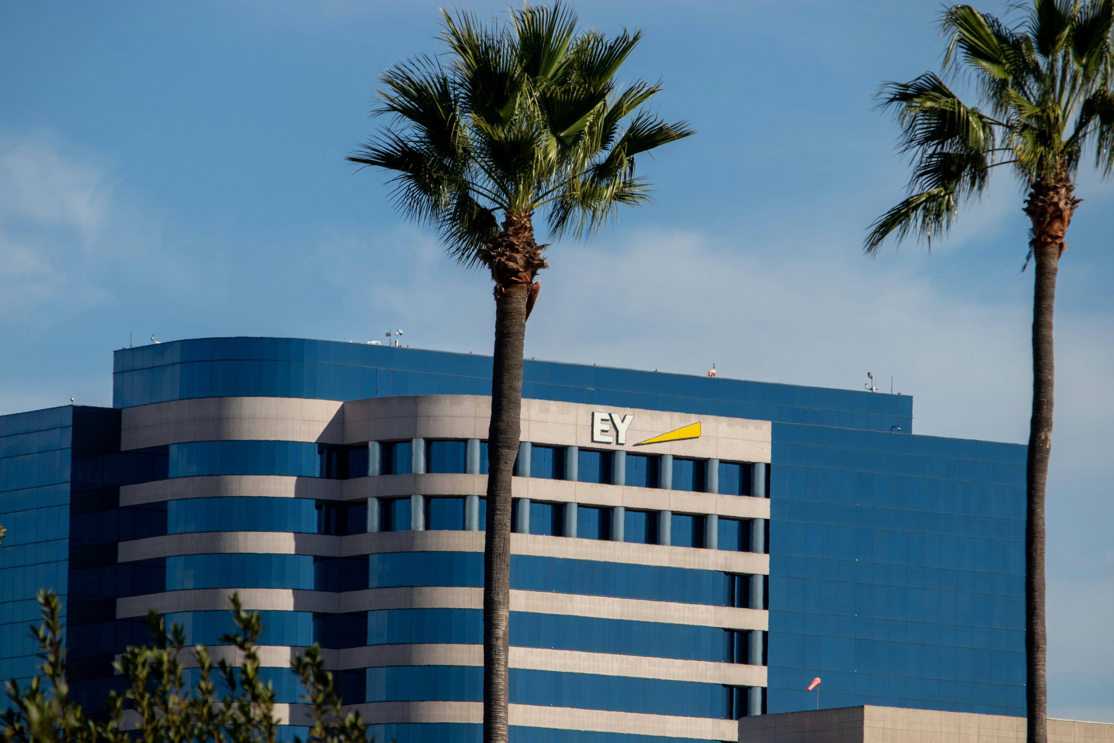 EY Employee Dies, After Being Overworked, Claims Victim's Mother