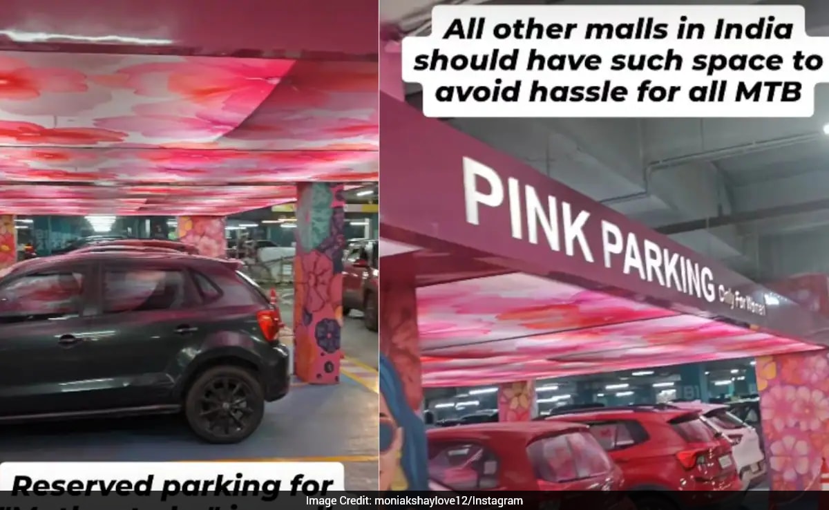 The Art of Baking: From Classic Bread to Artisan Pastries