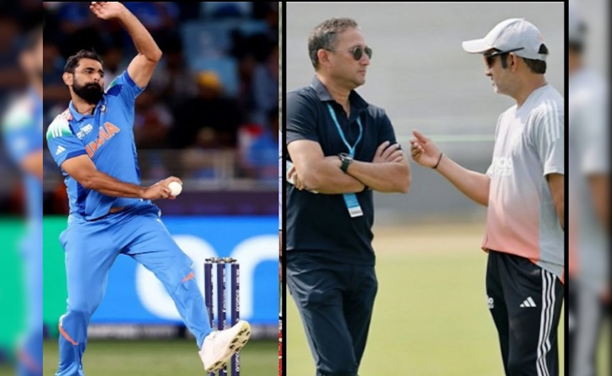 IND vs NZ: वनडे सीरीज में मोहम्मद शमी की होगी वापसी? विजय हजारे ट्रॉफी में बरपा रहे हैं कहर