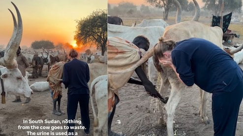 चेहरे पर साबुन नहीं, गोमूत्र! विदेशी गोरी मैम का ये प्रयोग देख हिल गया इंटरनेट