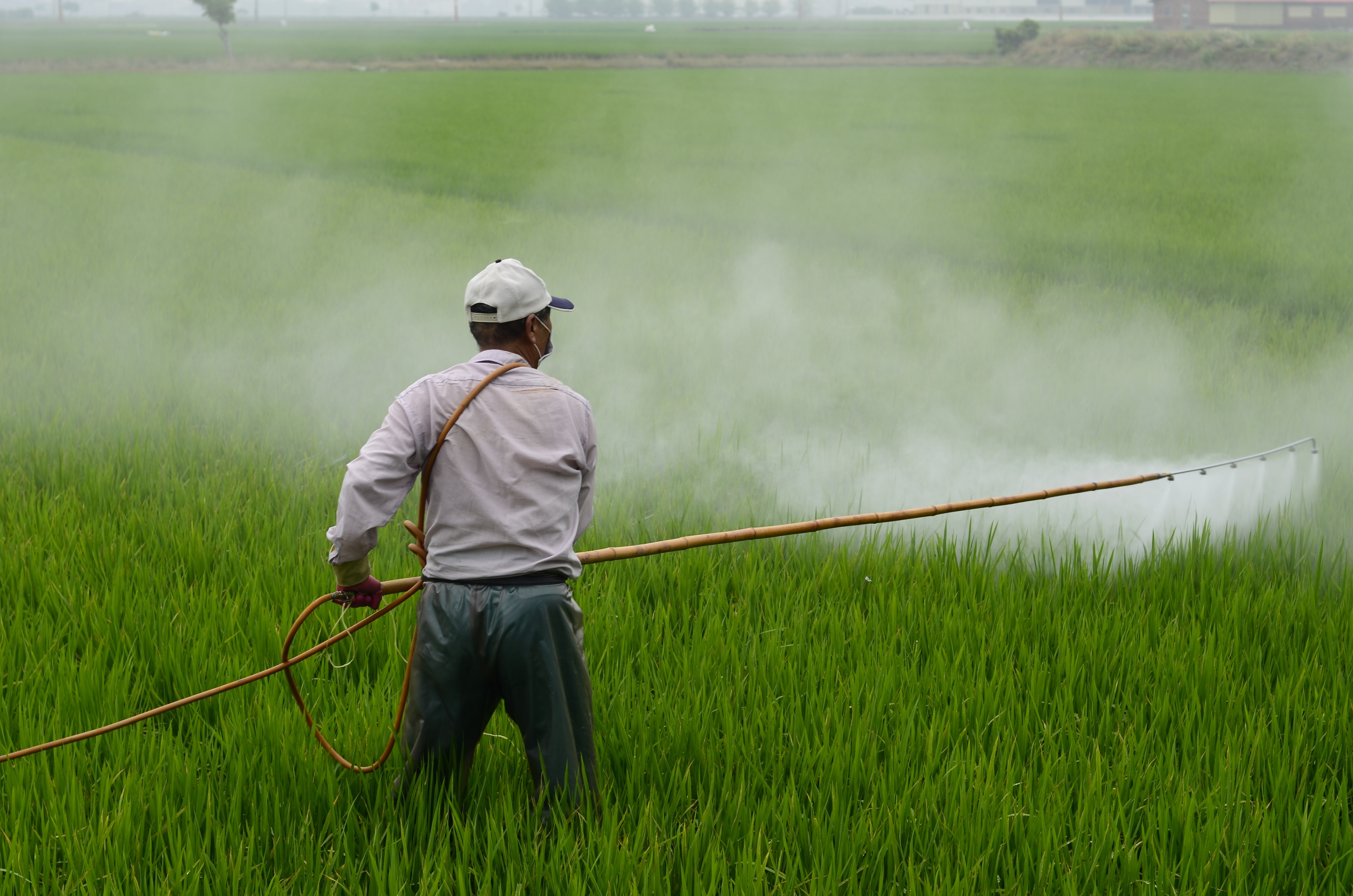 Dhanuka Agritech Q2 Results Review - Margin Pressure Likely To Persist In Near Term: Prabhudas Lilladher