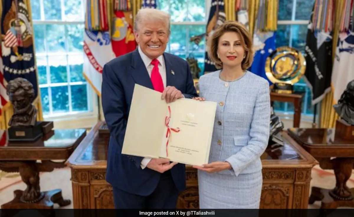Georgia's US Ambassador's Husband Linked to Sanctions Law Firm