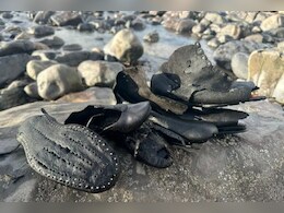 समुद्र ने उगले 150 साल पुराने गहरे राज, ब्रिटेन के तट पर बिखरे मिले सैकड़ों विक्टोरियन जूते