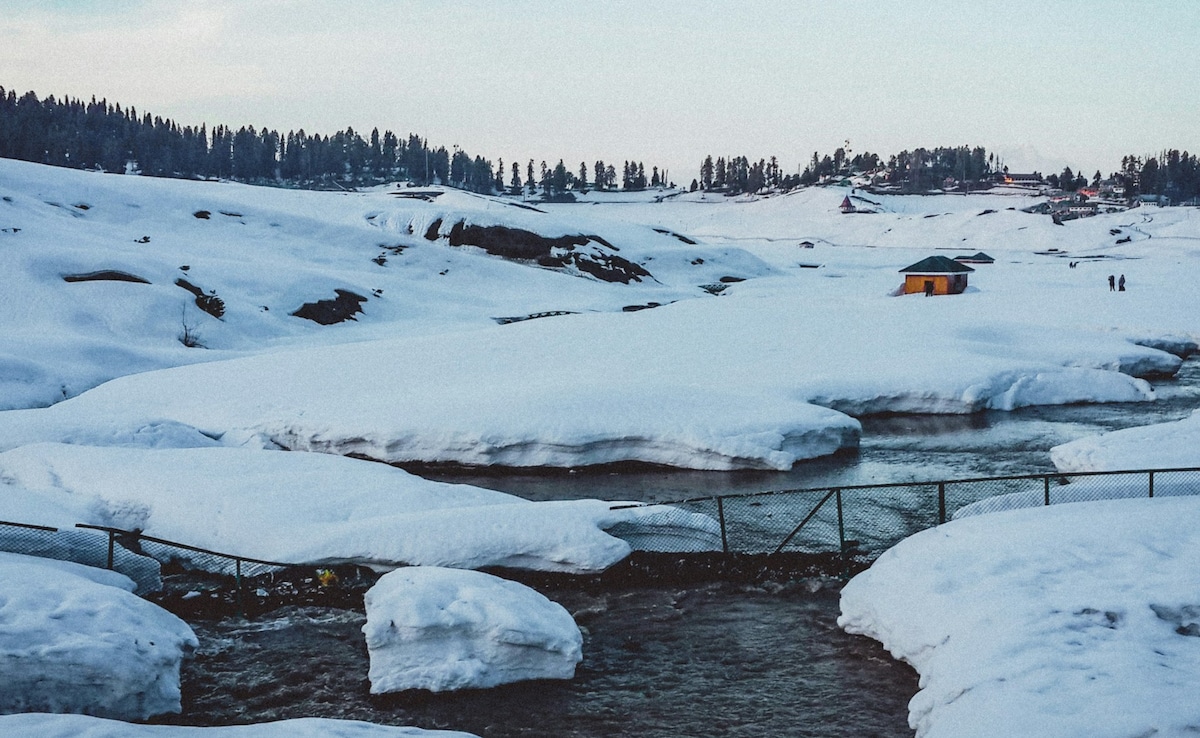 Latest and Breaking News on NDTV