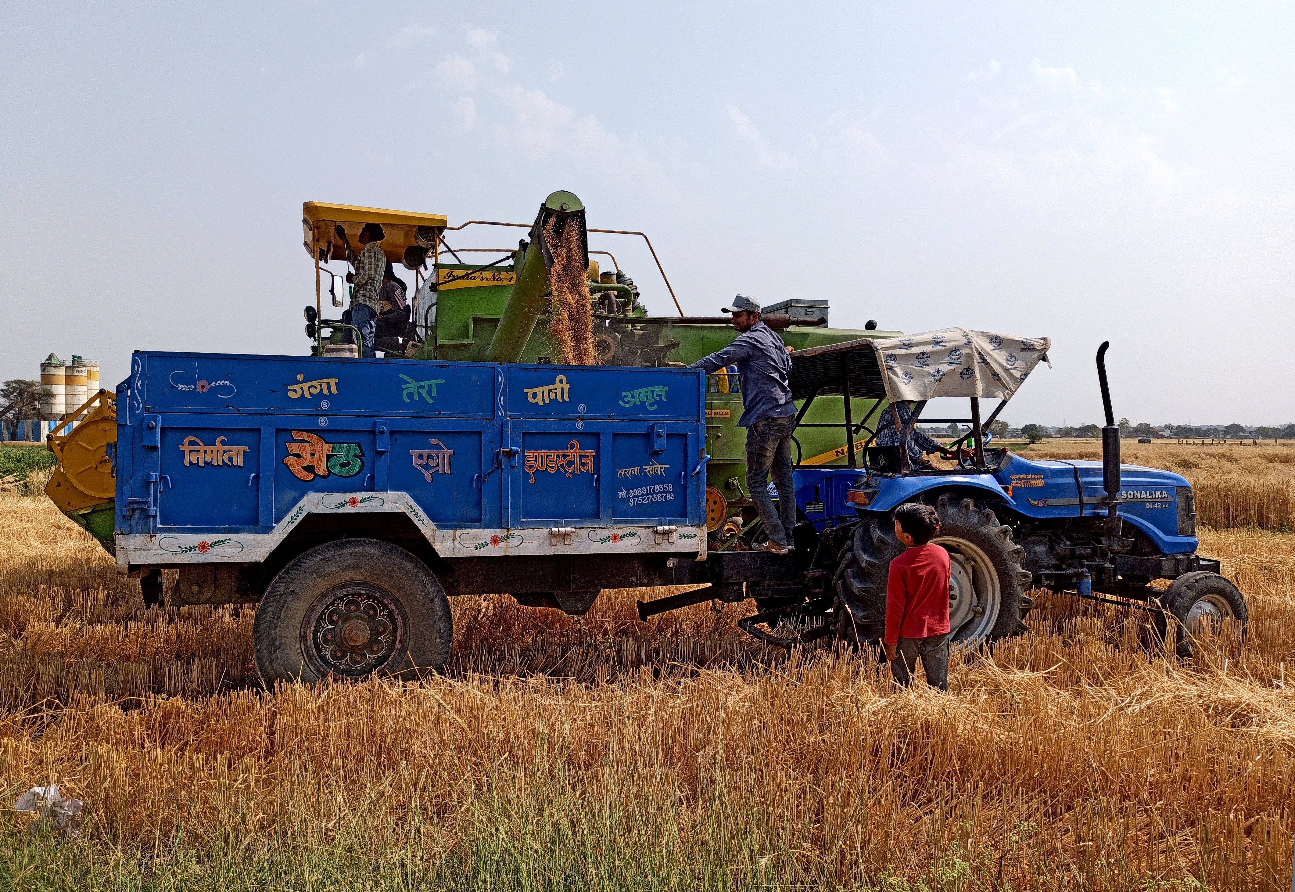 Farmers Advised To Hasten Wheat Harvest As Drier Times Lie Ahead