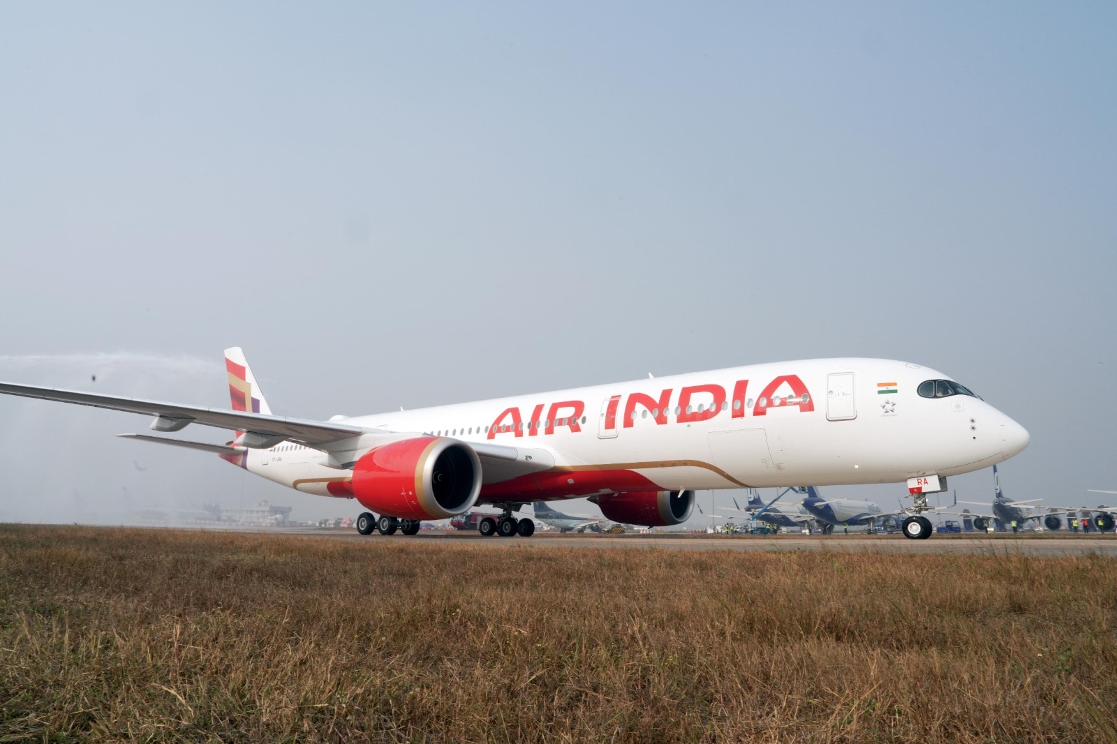 Air India Flight To Mumbai Aborted After Bird-Hit At Goa Airport