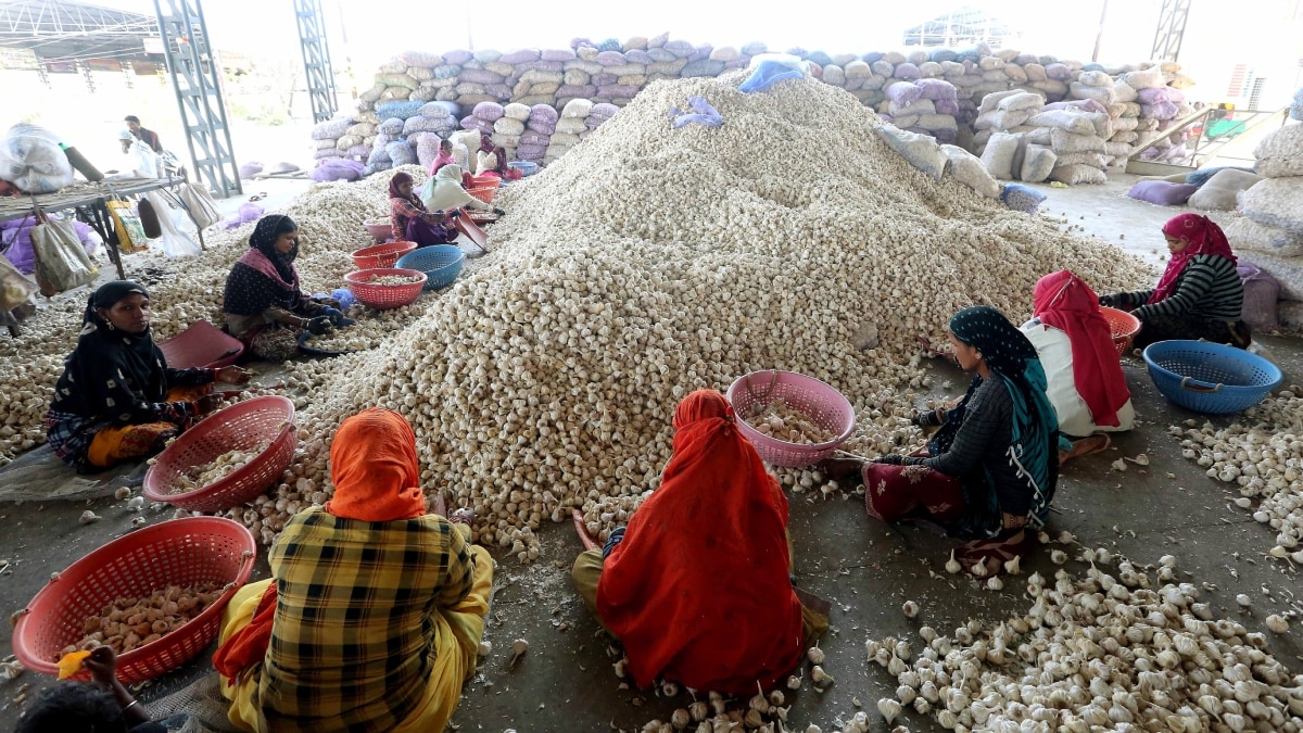 Latest and Breaking News on NDTV Latest and Breaking News on NDTV