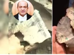 'क्या कानून बनाने वालों को यह भी नहीं पता...' कैश कांड केस में जस्टिस वर्मा पहुंचे सुप्रीम कोर्ट