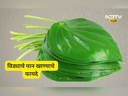 रिकाम्या पोटी विड्याचे पान खाल्ल्याने काय होतं? औषधी गुण जाणून व्हाल थक्क