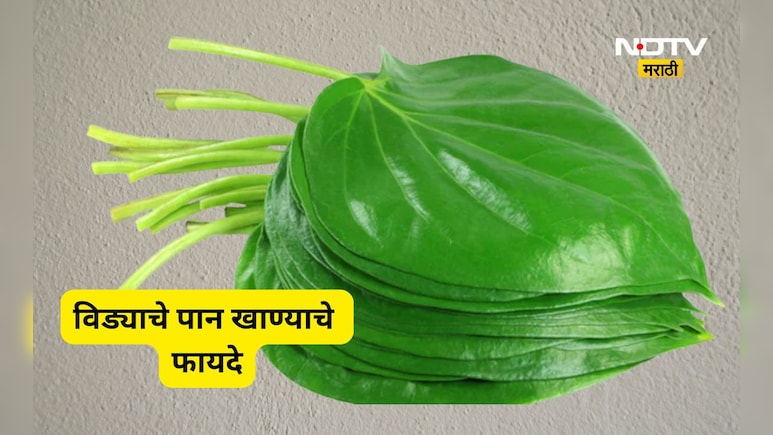 रिकाम्या पोटी विड्याचे पान खाल्ल्याने काय होतं? औषधी गुण जाणून व्हाल थक्क