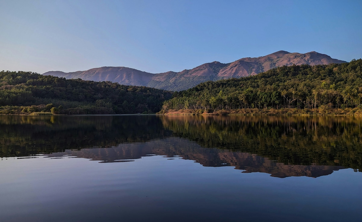 Latest and Breaking News on NDTV