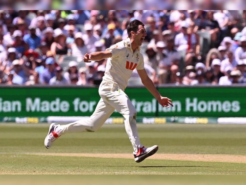 Pat Cummins Doubtful For T20 World Cup? It's Quite Grey Right Now, Says Australia Head Coach Andrew McDonald