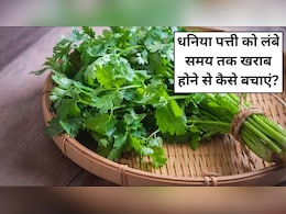 धनिया पत्ती को लंबे समय तक खराब होने से कैसे बचाएं? जानें आसान किचन टिप्स