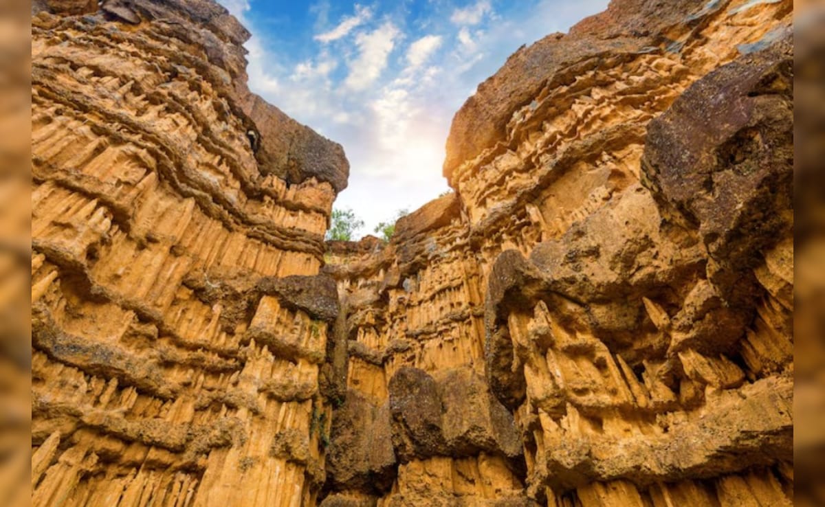 Latest and Breaking News on NDTV Latest and Breaking News on NDTV