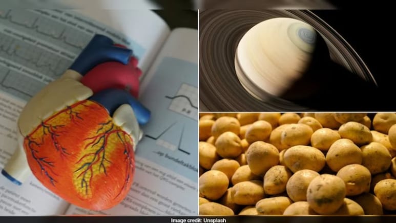 2025 की 15 सबसे हैरान कर देने वाली वैज्ञानिक घटनाएं, जिन्होंने पूरी दुनिया को चौंका दिया