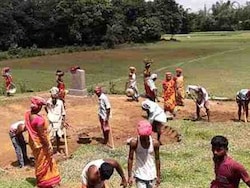 Under 1% Reach 100-Day Goal Under MNREGA In Madhya Pradesh In 6 Years