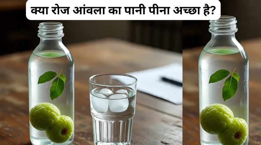 30 दिन तक आंवला जूस पीने से क्या होगा? आंवला से कौन सी बीमारी ठीक हो सकती है? आंवले का पानी कैसे बनाएं?