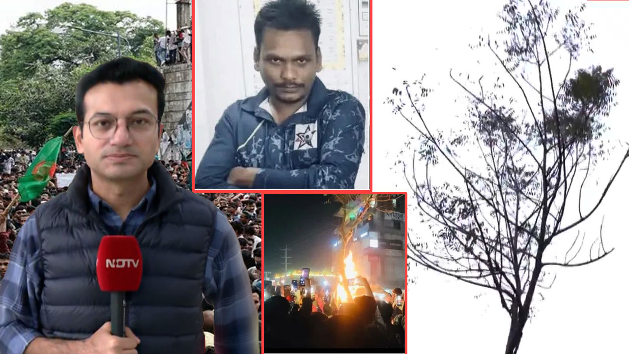 Burn Marks On Dhaka Tree: NDTV At Spot Where Mob Burned Dipu Das Alive