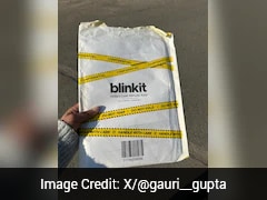 ब्लिंकिट की 10 मिनट डिलिवरी सर्विस ने कैसे बचाया महिला का US वीजा, खुद सुनाई आपबीती