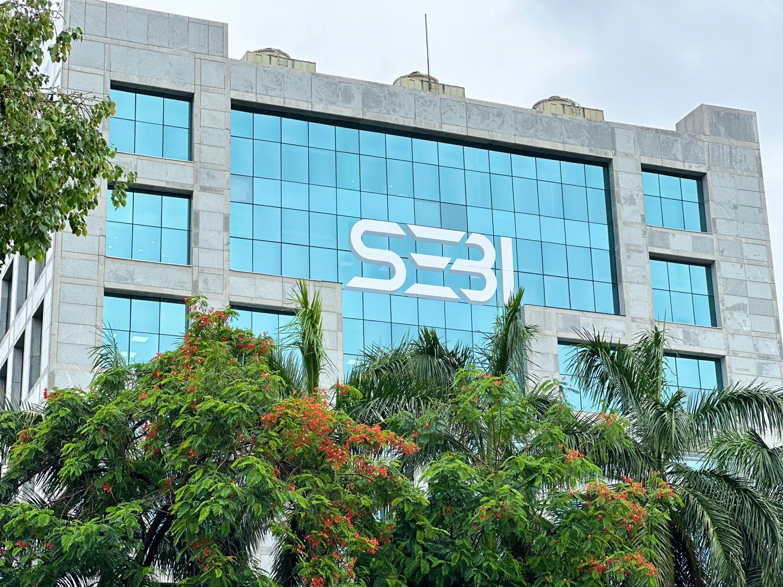 SEBI Puts NSDL's IPO On Hold