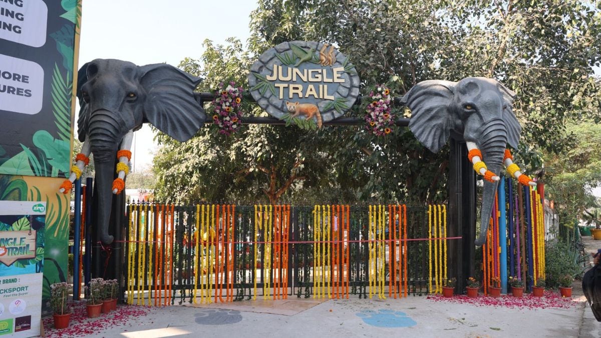 Noida's Jungle Trail Park Opens To Public: Features, Timings And All You Need To Know