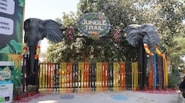 Noida's Jungle Trail Park Opens To Public: Features, Timings And All You Need To Know