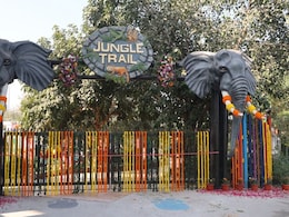 Noida's Jungle Trail Park Opens To Public: Features, Timings And All You Need To Know