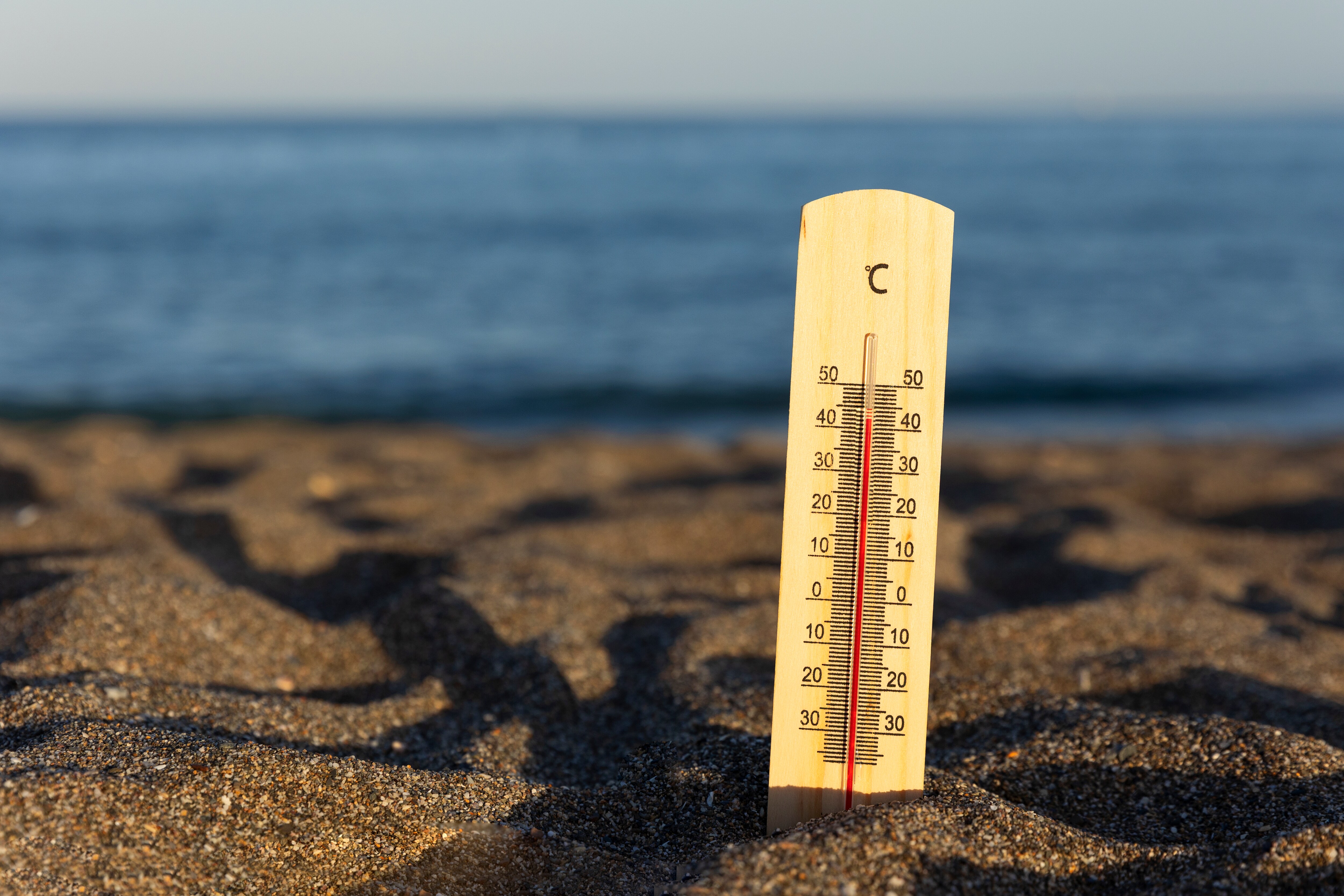 India Will Get Its Own Index To Quantify Heat Impact Next Year: IMD Chief
