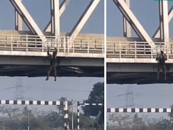 Video: Man Performs Chin-Ups While Hanging From Bridge Over Busy Highway