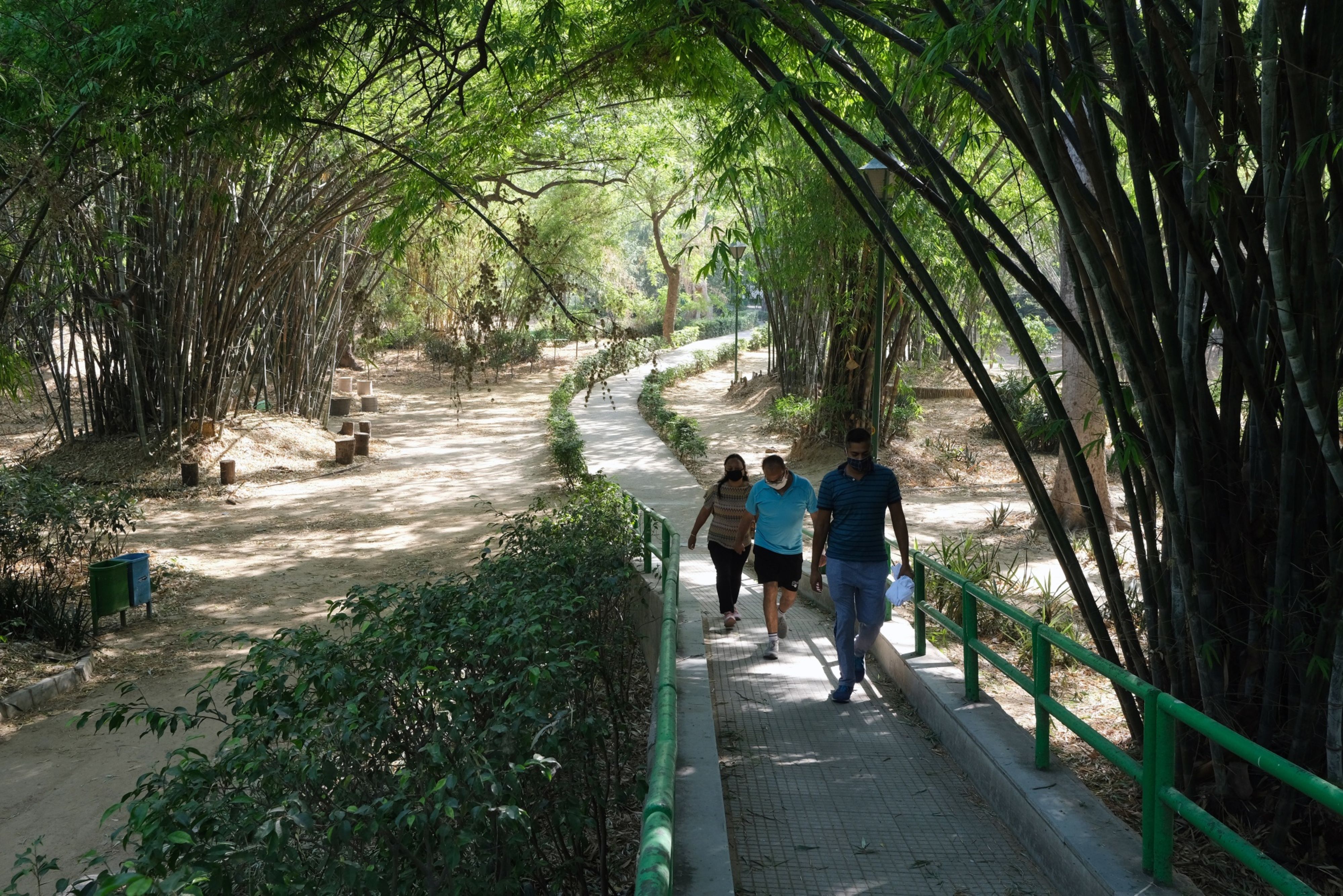 Coronavirus India Updates: Total Cases Top 1.18 Lakh; Deaths Near 3,600