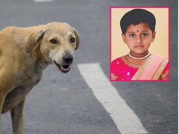 Thane News: पिसाळलेल्या कुत्र्याचा चावा; 5 वर्षांच्या चिमुकलीचा उपचारादरम्यान तडफडून मृत्यू