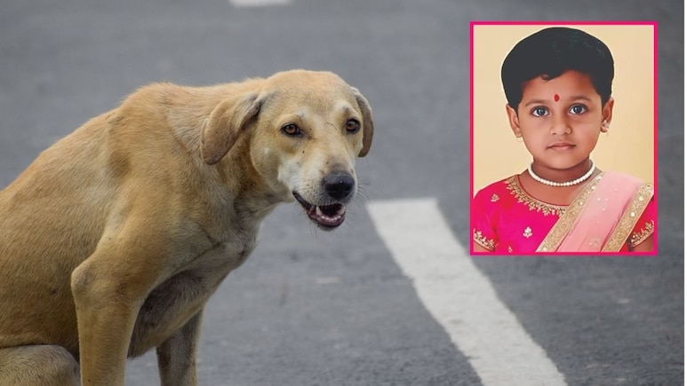 Thane News: पिसाळलेल्या कुत्र्याचा चावा; 5 वर्षांच्या चिमुकलीचा उपचारादरम्यान तडफडून मृत्यू