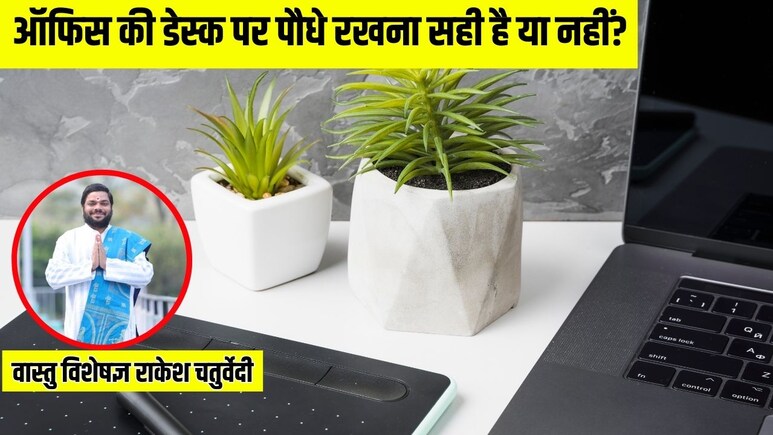ऑफिस की डेस्क पर पौधे रखना सही है या नहीं? वास्तु विशेषज्ञ ने बताया किन बातों का जरूर रखें ध्यान