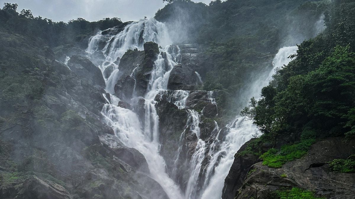 Latest and Breaking News on NDTV Latest and Breaking News on NDTV