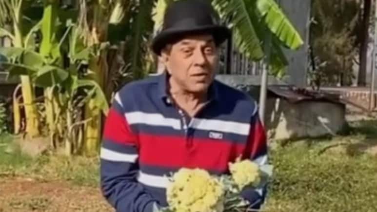 धर्मेंद्र के फार्म हाउस के 6 वीडियो, समझ जाएंगे धरम पाजी की जिंदादिली