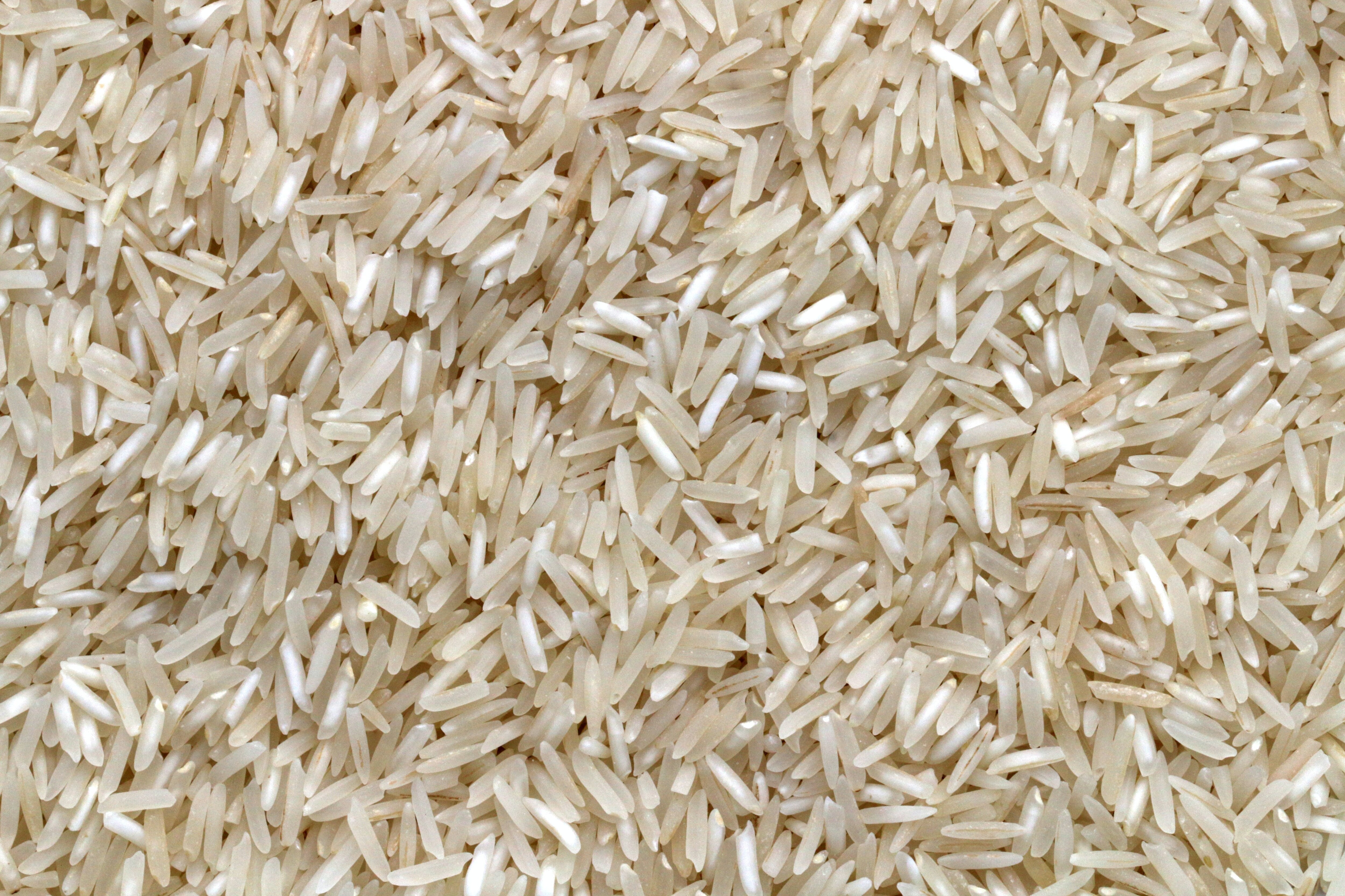 On Rice Stock, Centre To Take 'Informed' And 'Measured' View: Sources