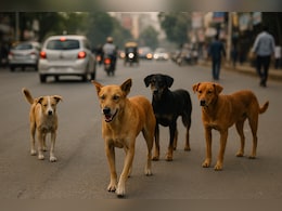 दिल्ली में आवारा कुत्तों को लेकर शिक्षा विभाग ने जारी किया नया आदेश, अब कह दी ये बात