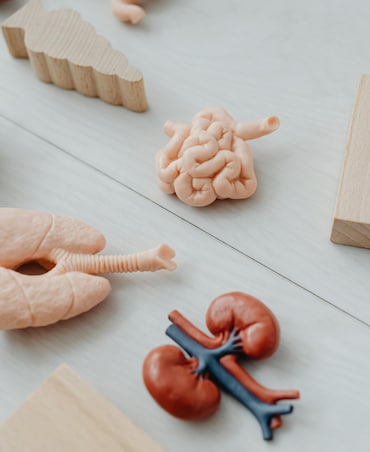 10 Foods Good For Lungs