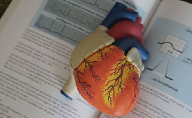 ECG Devices Market: Prevalence Of Cardiovascular Disease Creating New Growth Prospects