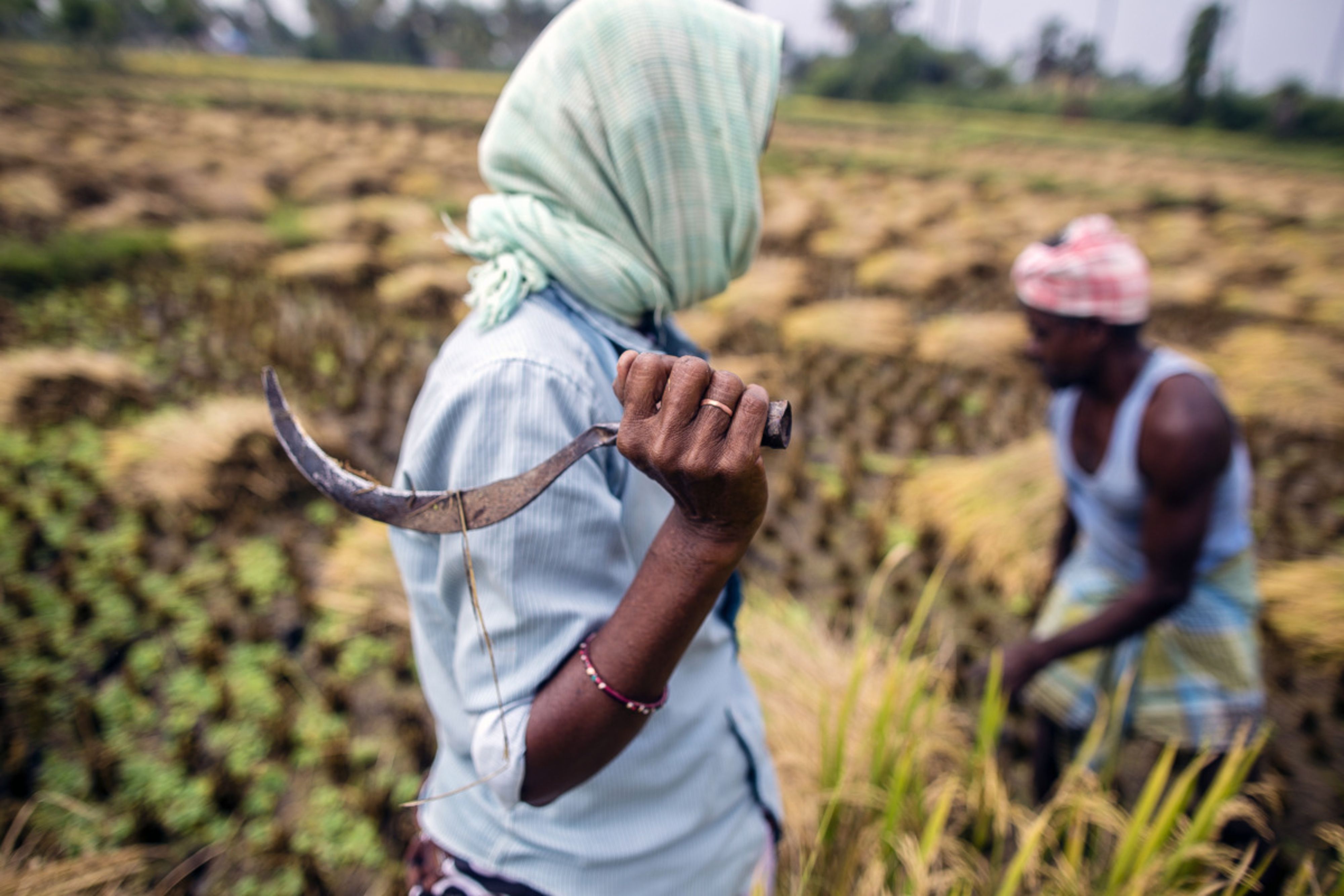 SBI Research: Agriculture Reforms Politics