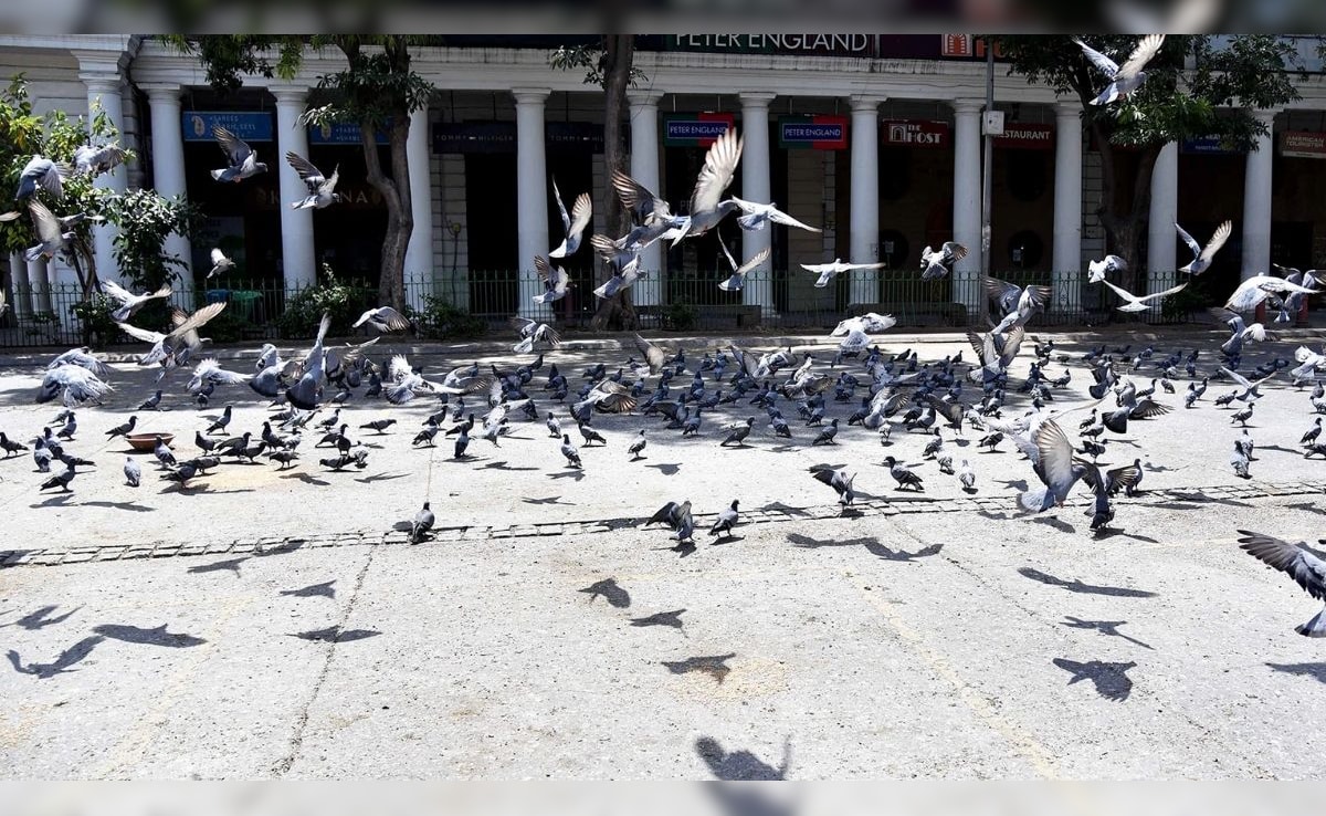 Latest and Breaking News on NDTV Latest and Breaking News on NDTV