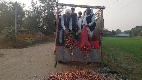 Onion Price in MP: प्याज ने निकाले आंसू, दाम नहीं मिलने से टूटे किसान... लागत निकालना हुआ मुश्किल, अब सड़कों पर फेंक रहे