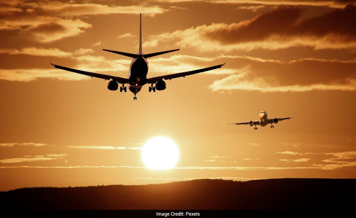 Lawyer Suggests Indians Leave Country
