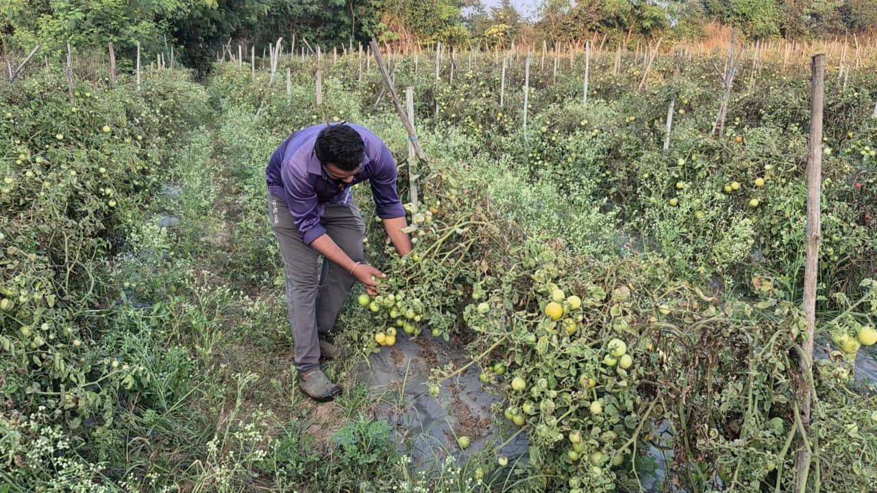 Latest and Breaking News on NDTV Latest and Breaking News on NDTV