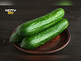 Cucumber Side Effects: या 5 लोकांनी काकडी खाण्याची हिंमत करू नये, अन्यथा पत्करावा लागेल इतका मोठा धोका