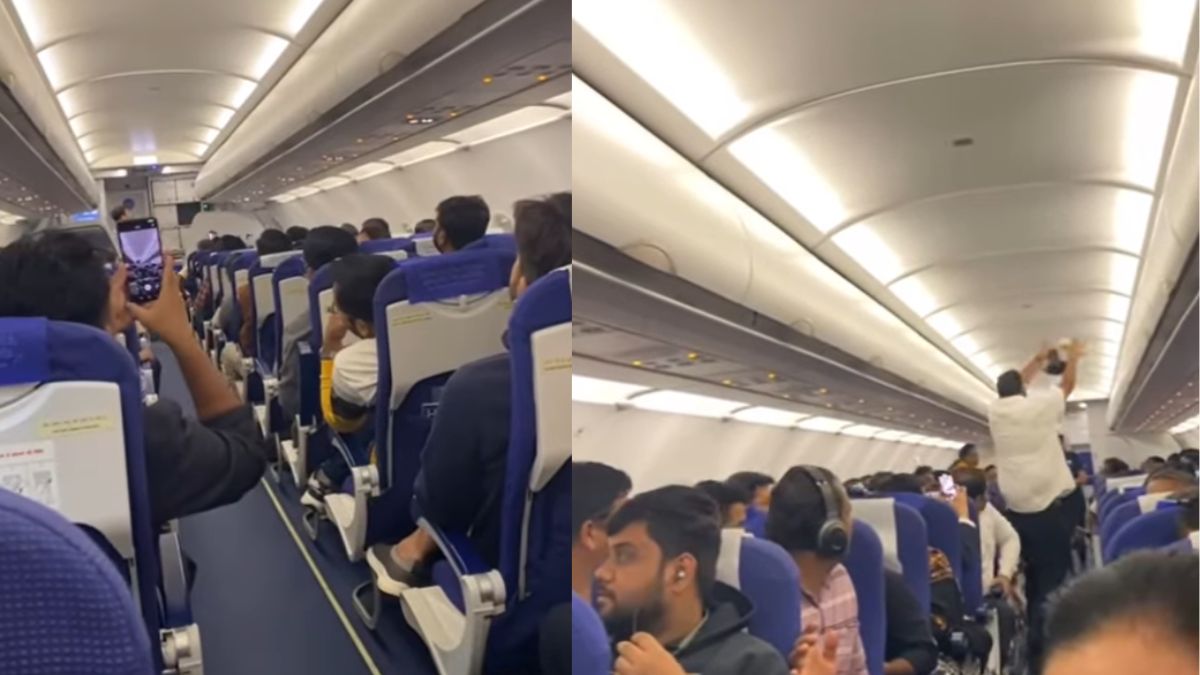 Watch: Pigeon Enters IndiGo Flight Before Take-Off, Causes Chaos Amid Ongoing Crisis