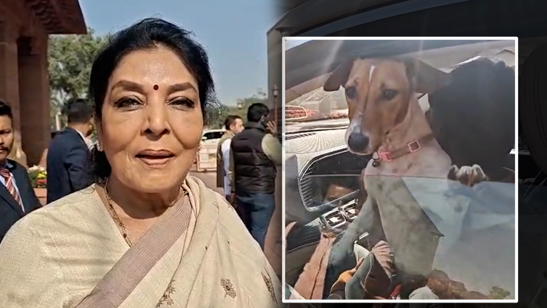 "What's Wrong With An Animal Inside Parliament": Renuka Chowdhury Defends Pet Dog