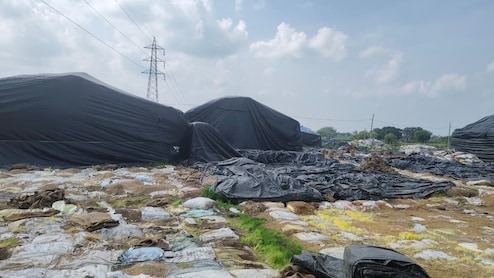 हैरान मत होइए... यहां 26000 क्विंटल धान खा गए चूहे और कीड़े, 7 करोड़ का अनाज गायब होने पर अफसरों का गजब दावा, जानें मामला