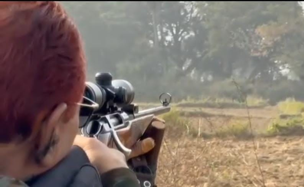 बिहार के खेतों में क्यों तैनात किए गए 'शूटर',  कौन सा जानवर है निशाने पर