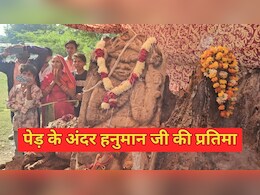 कोटा में पेड़ से प्रकट हुई हनुमान जी की प्रतिमा...श्रद्धालु बता रहे चमत्कार, दर्शन के लिए उमड़ रहे लोग